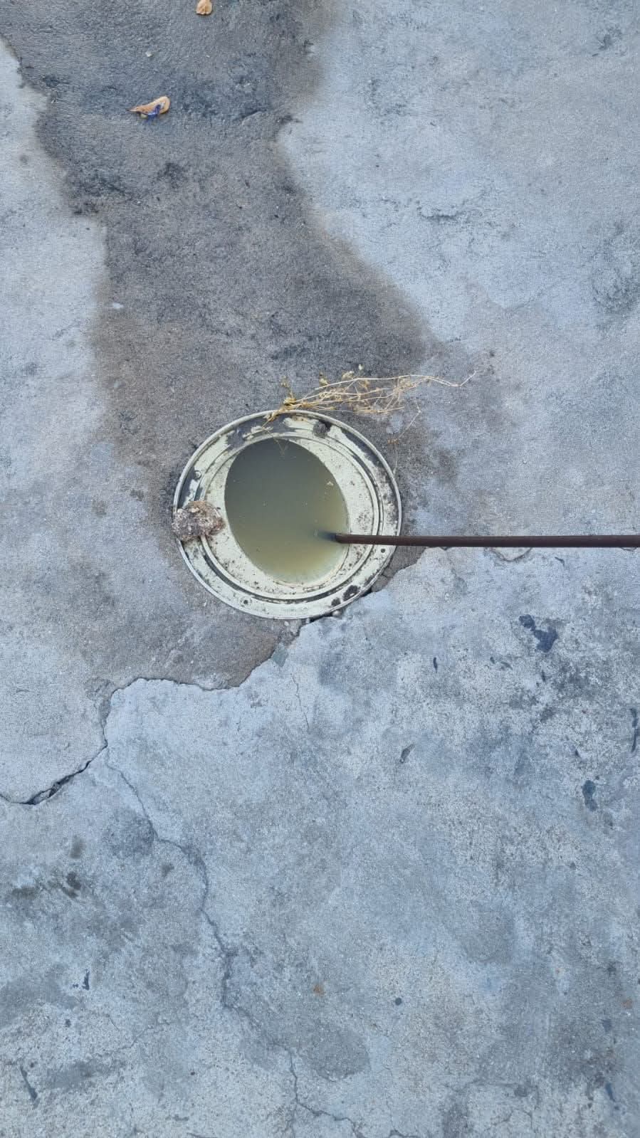 Drain Cleaning